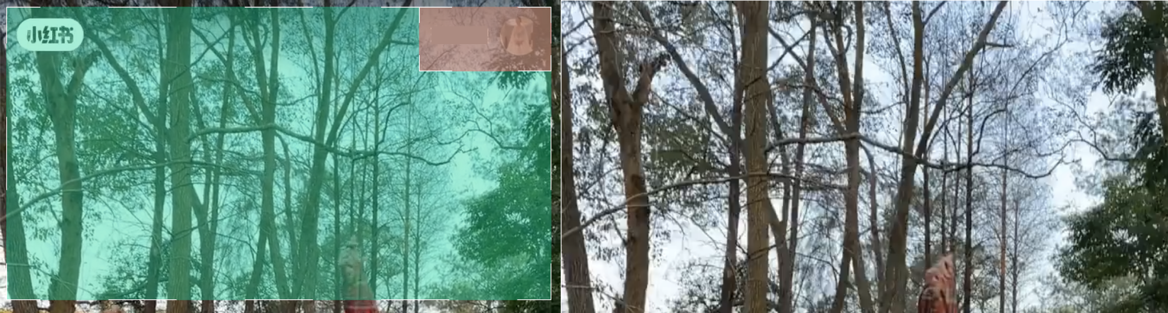 绿框：自动擦除区域（全局识别并擦除 MPS 库内的常见 Logo）；红框：添加擦除区域（位置固定的头像图标内容）