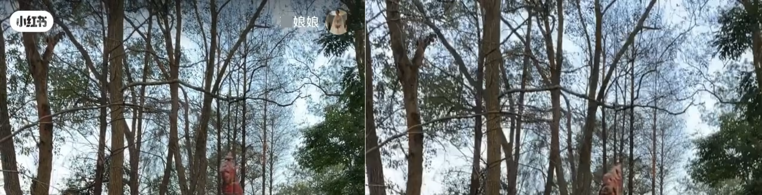 Left: Original video with a logo/icon in both the top-left and top-right corners. Right: Result using the advanced version of automatic logo removal.