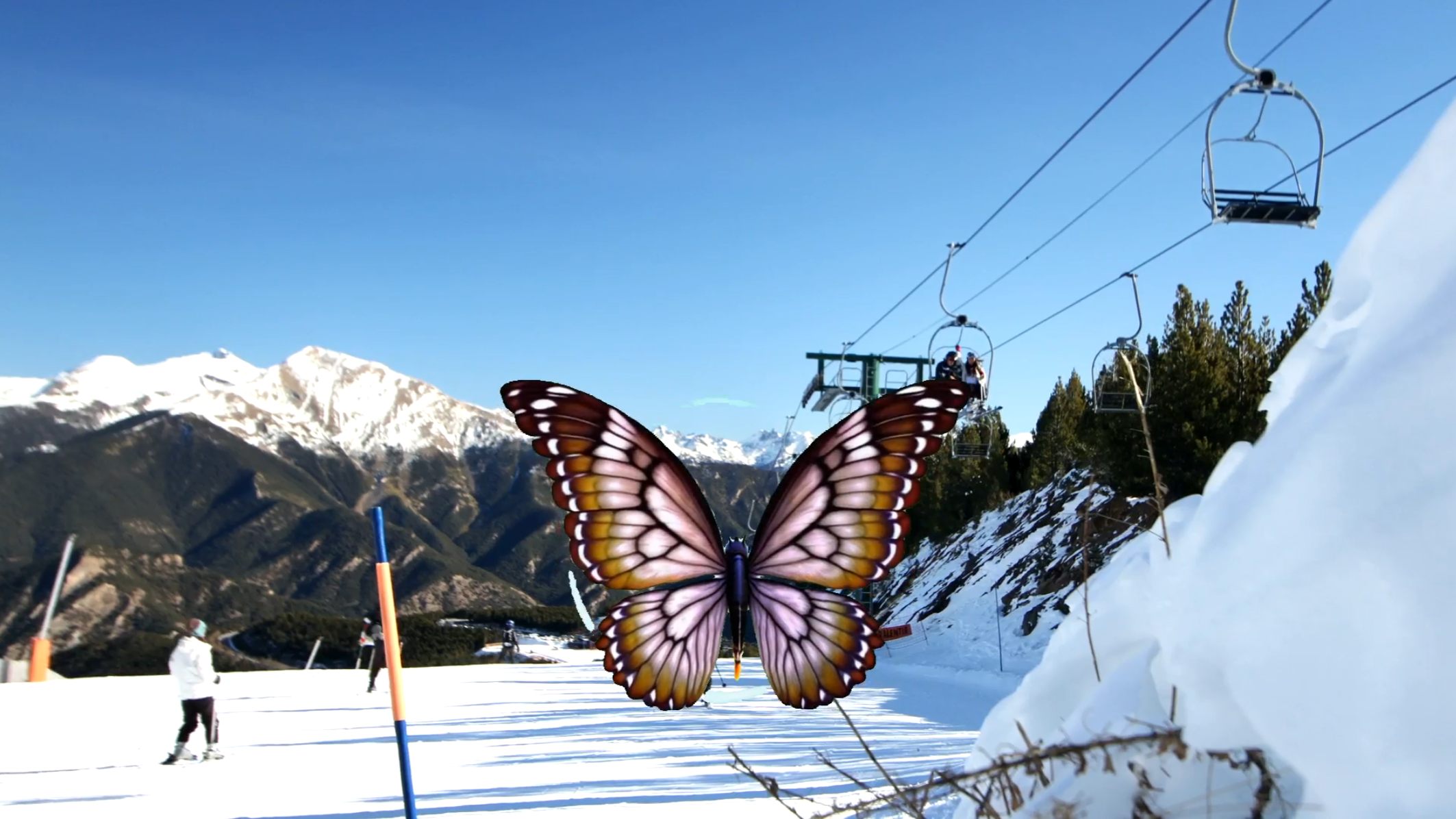 Keyword:：Butterfly