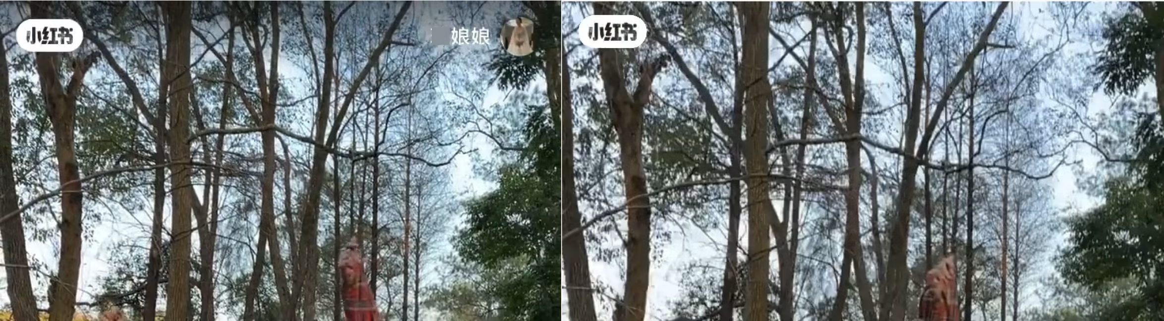 Left: Original video with a logo/icon in both the top-left and top-right corners. Right: Result after removing only the icon in the top-right corner.