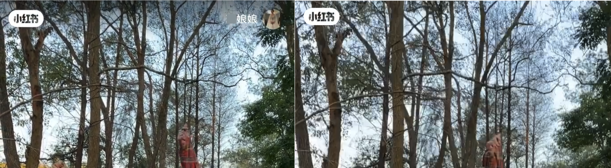 Left: original video with a logo in the upper left corner and an icon in the upper right corner. Right: effect of erasing only the icon in the upper right corner.