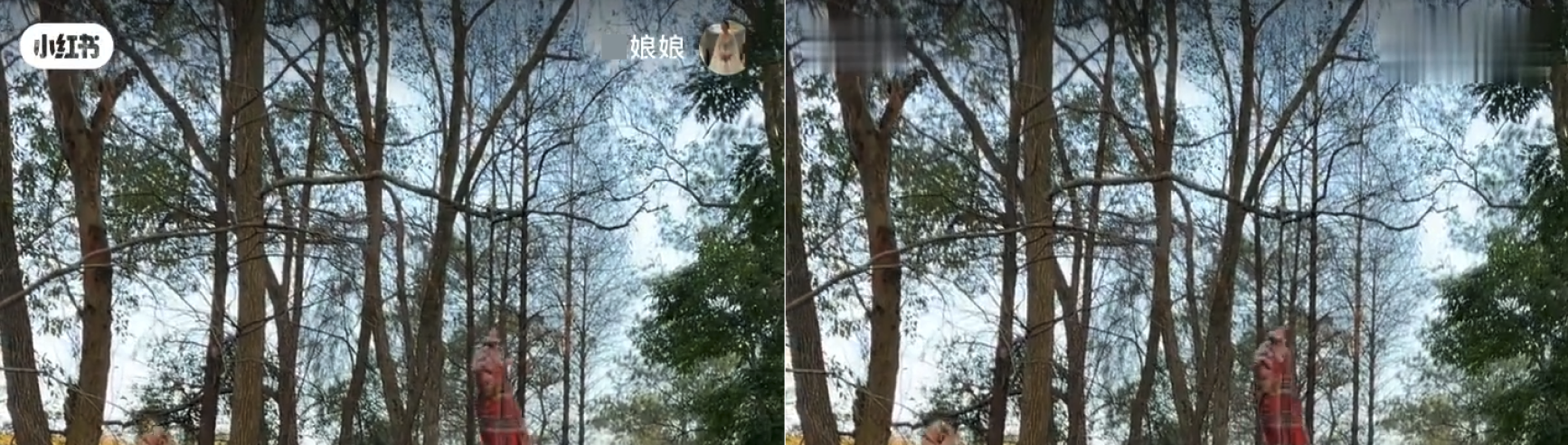 Left: original video with a logo in the upper left corner and an icon in the upper right corner. Right: automatic erasing effect of Logo Removal - Basic Edition.